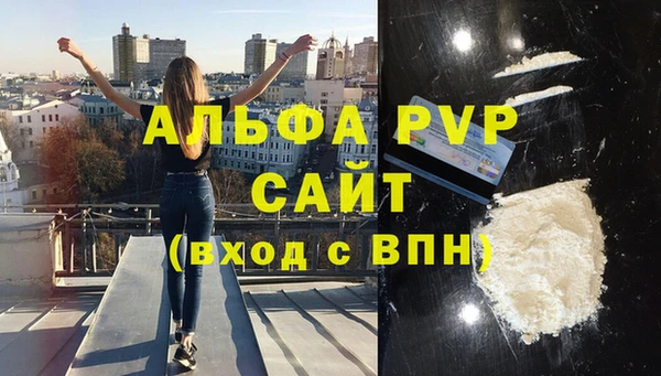 молекула духа Ростов