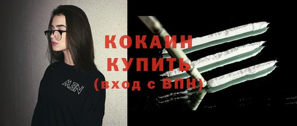 молекула духа Ростов