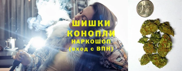 молекула духа Ростов